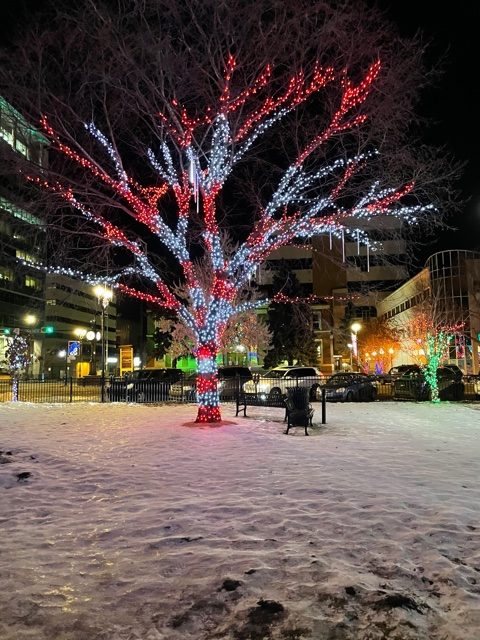 tree lights - Hope For Widows Foundation