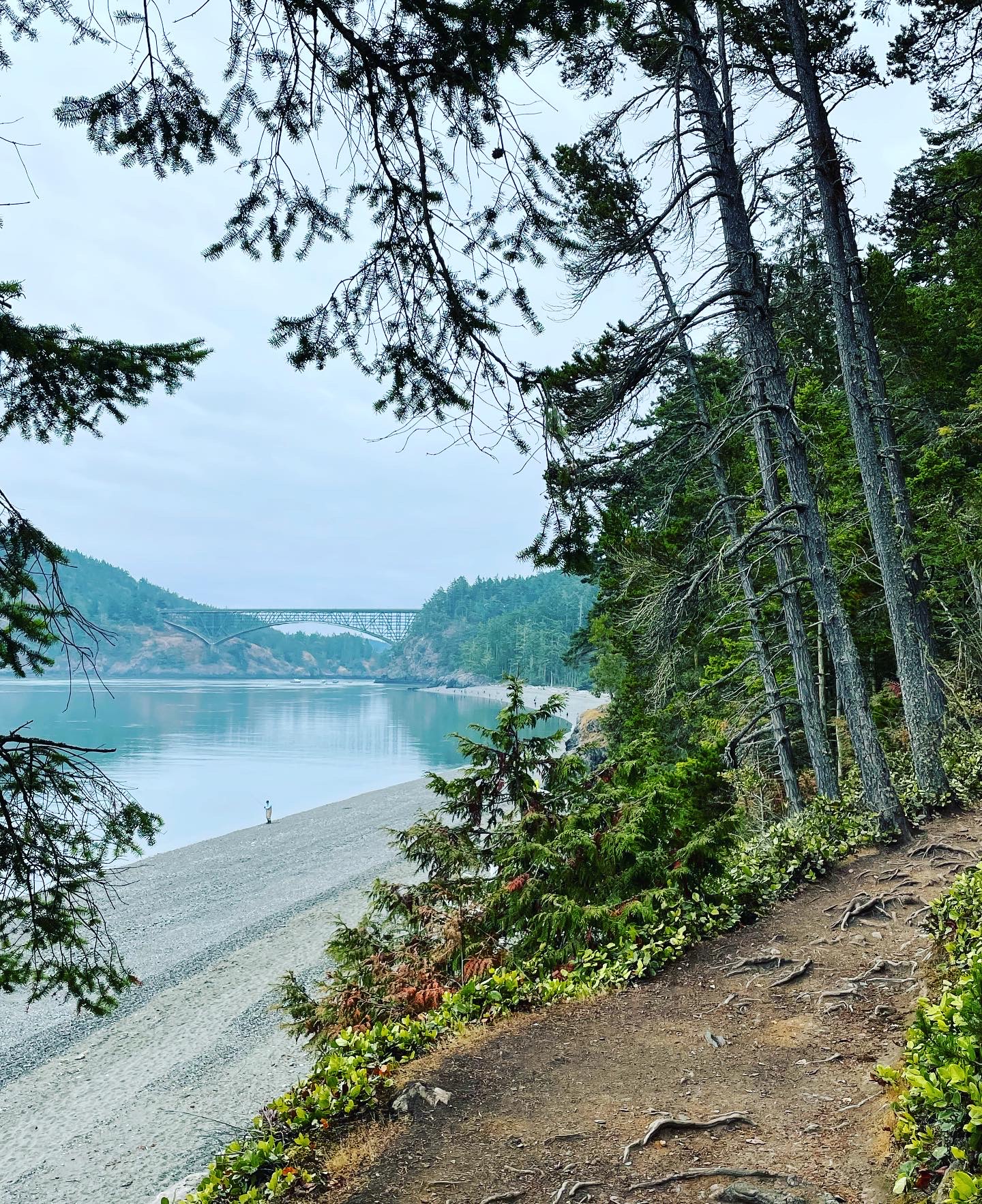 Path to Living Instead of Just Surviving Grief